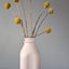Milk Bottle