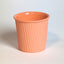 Espresso Cup