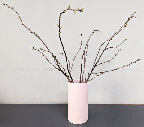 V1 Vase