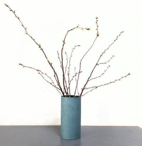 V1 Vases